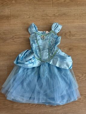 Disney Blue Cinderella Satin & Tulle Princess Costume